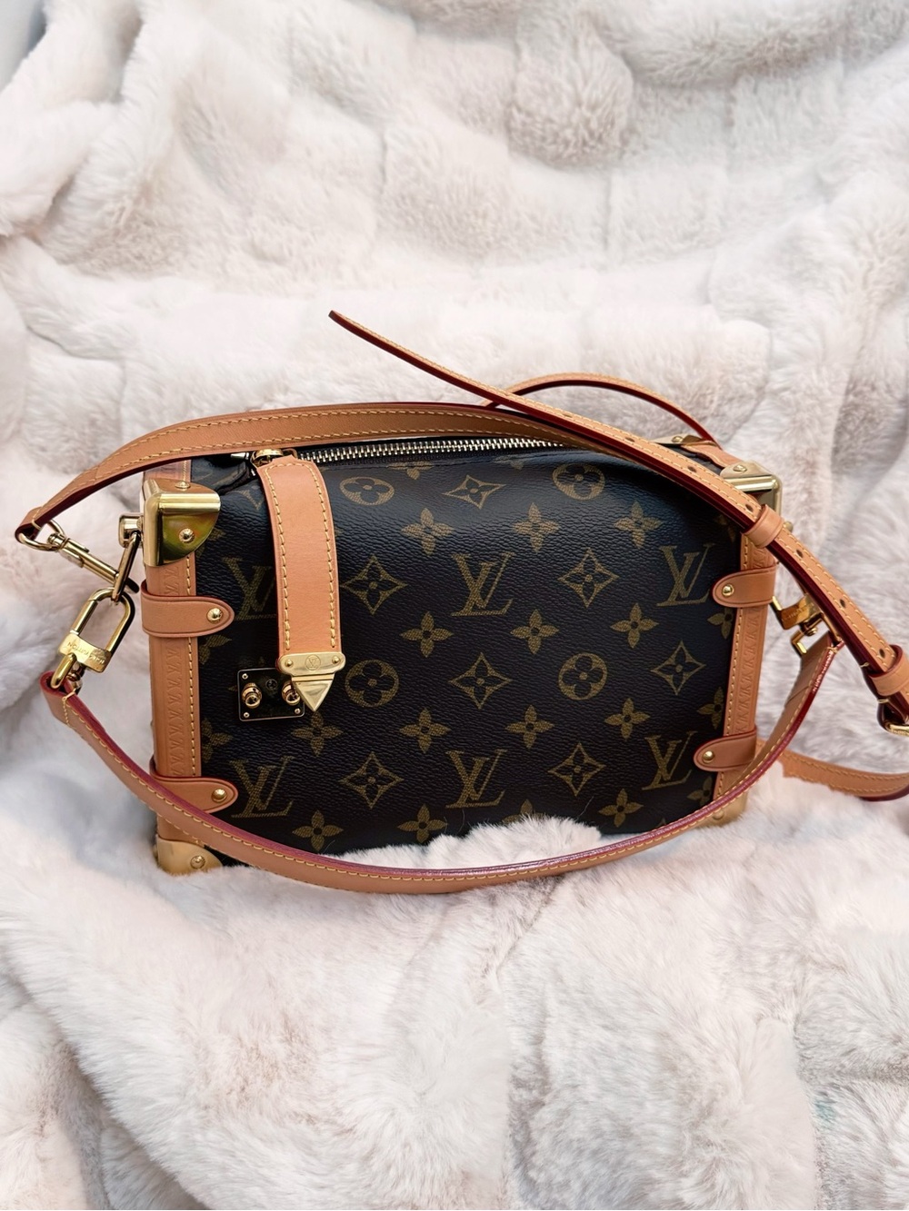 Louis Vuitton Side Trunk MM